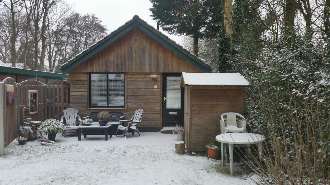 Vakantiehuis Duin Bos En Zee スコールル エクステリア 写真