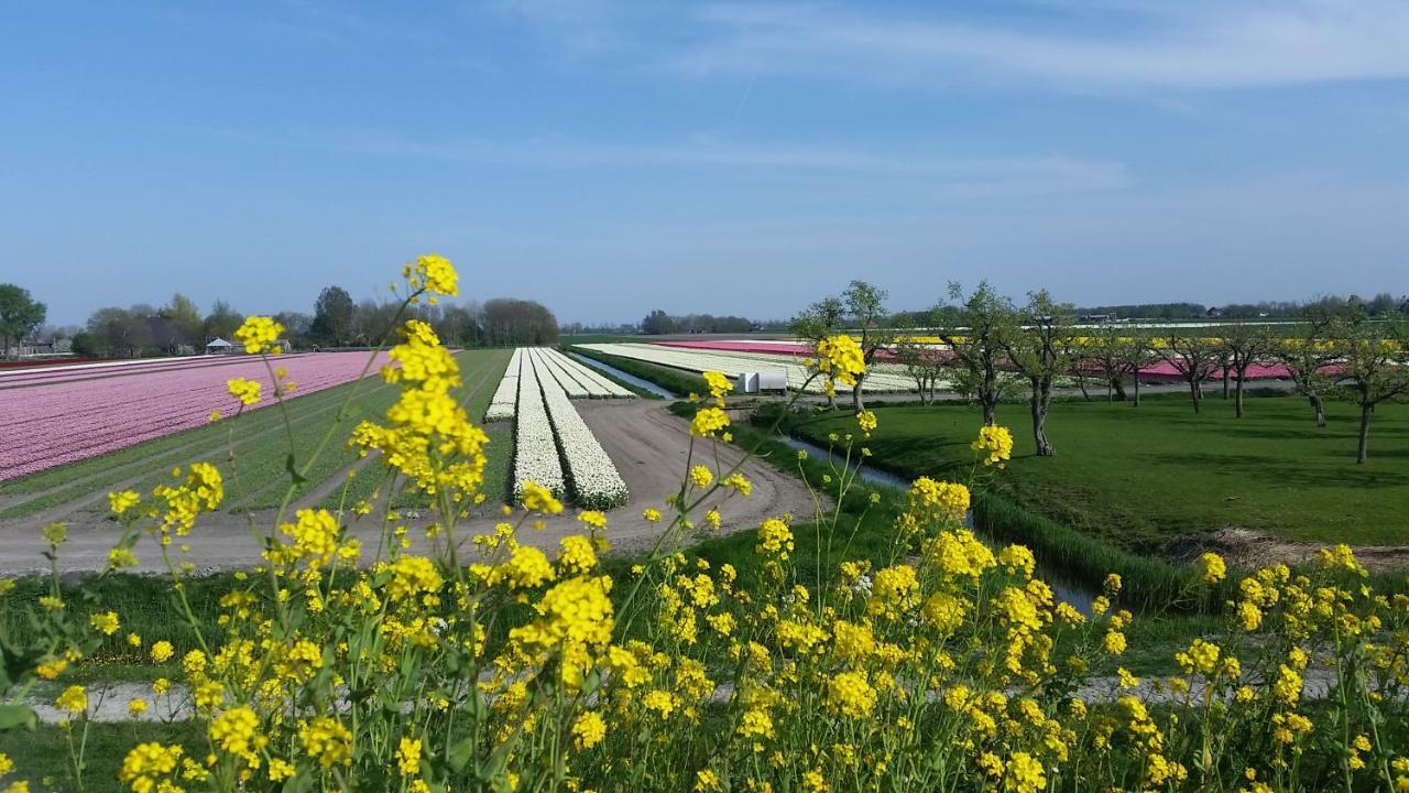 Vakantiehuis Duin Bos En Zee スコールル エクステリア 写真