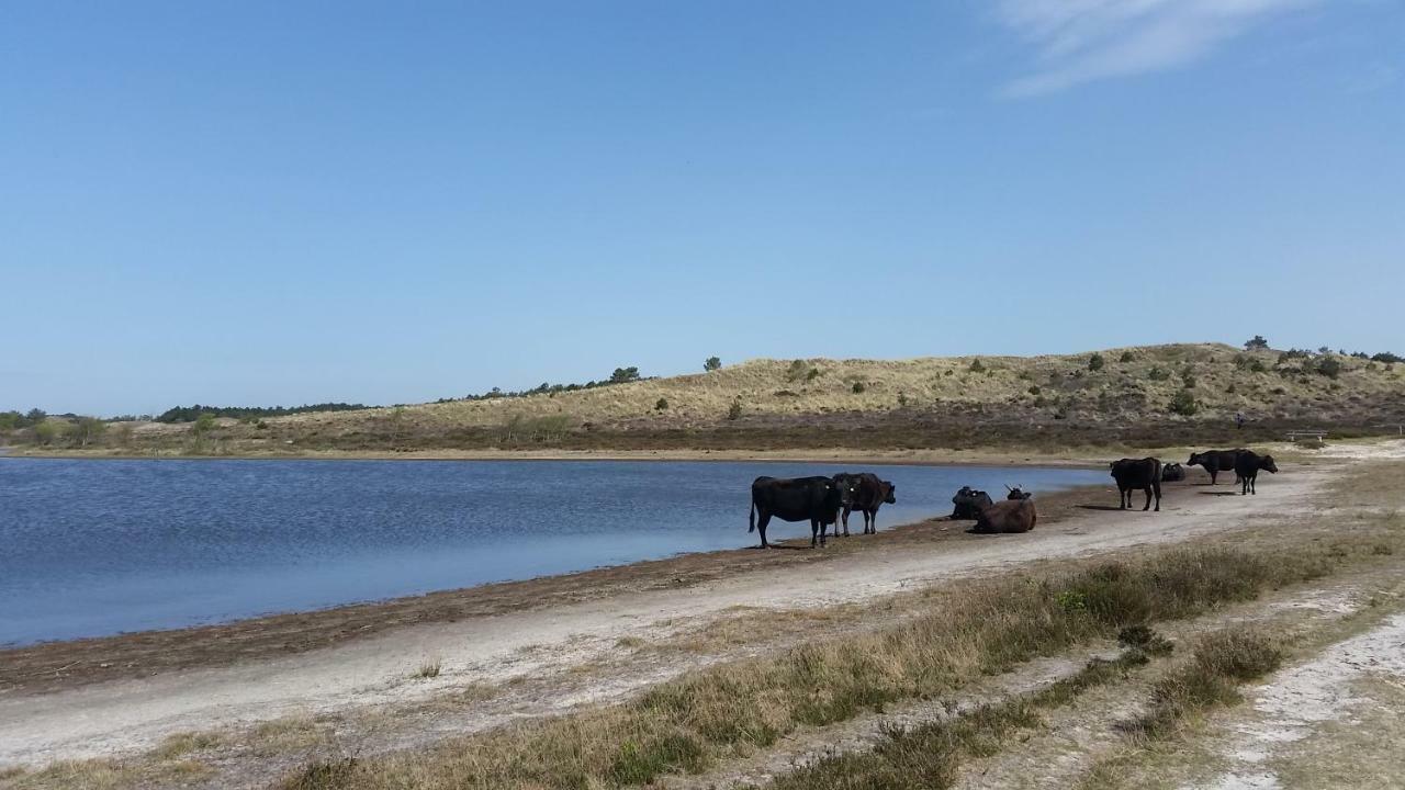 Vakantiehuis Duin Bos En Zee スコールル エクステリア 写真